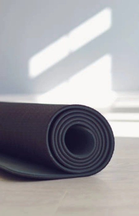 Clearly understand the connection between anatomy and exercises