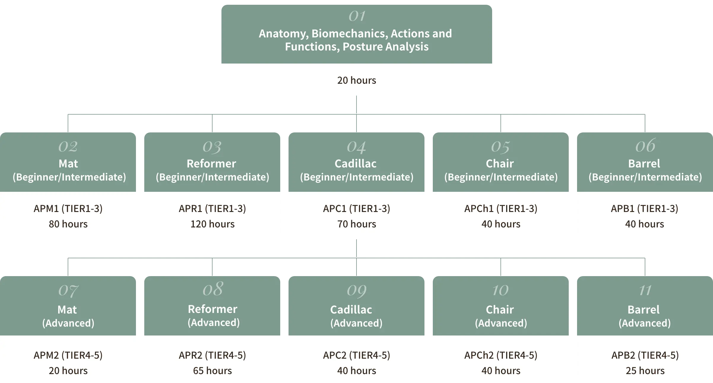 Course Structure